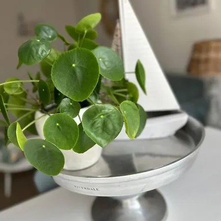 Have A Stay! - Voila! - At 500m- Free Parking *